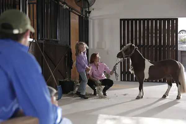 horse stable 2 600x400px