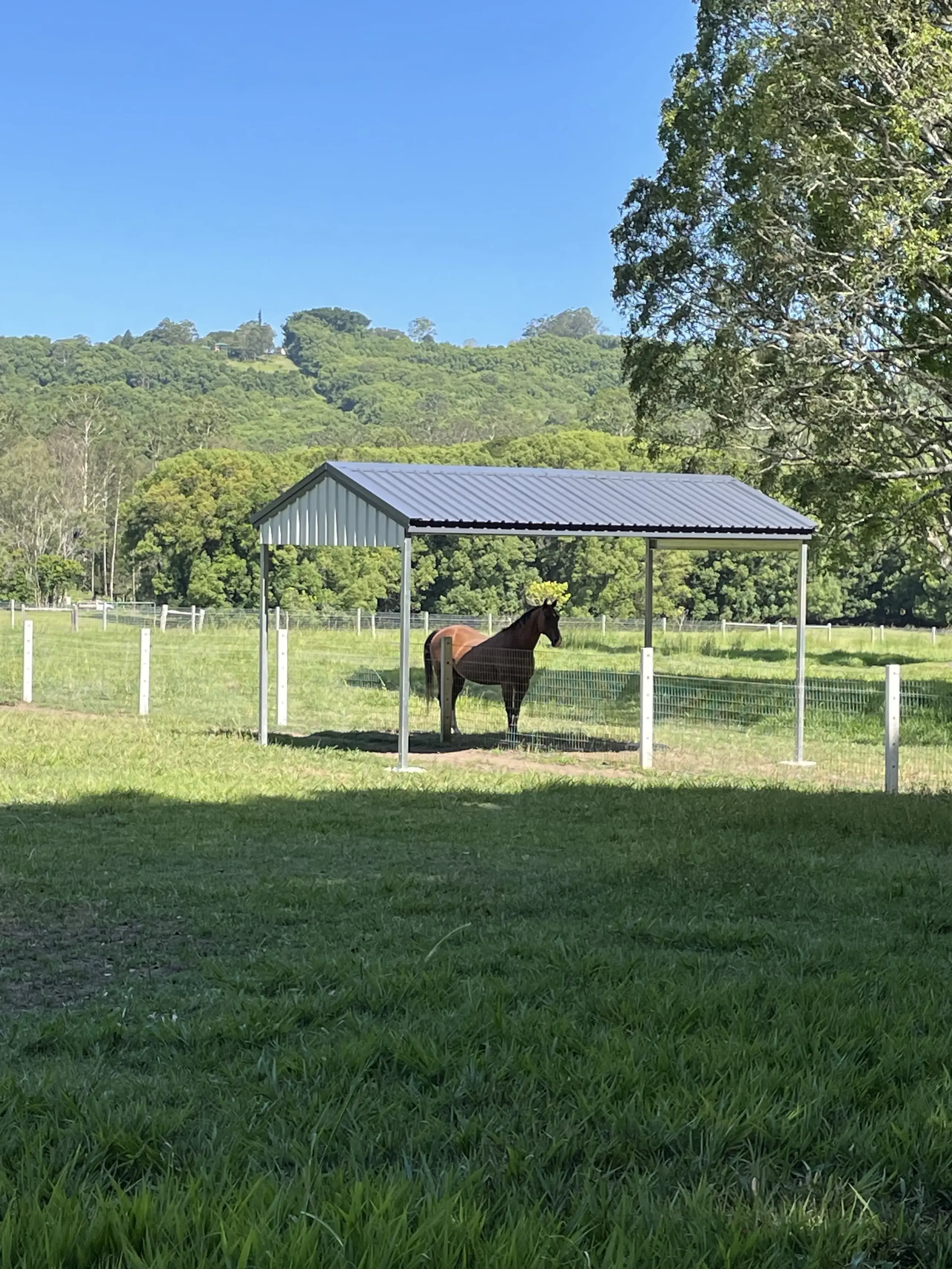 Tweed Valley Horse Shelter