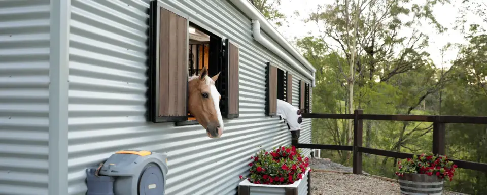 horse stables banner