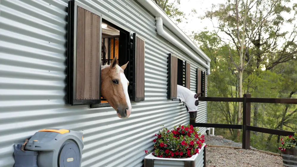 horse stables banner